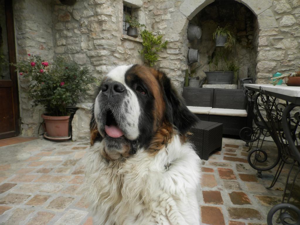 Residenza Di Paese Castello Del Poggio Hotel Ferentillo Kültér fotó